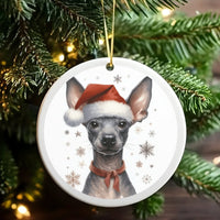 Mexican Hairless Dog Santa Hat Ornament, Xoloitzcuintli Christmas Ornament, Ceramic Puppy Tree Ornament, Holiday Present for Dog Lovers