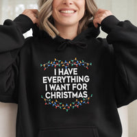 Matching Couple Christmas Lights Sweatshirt, I Have Everything I Want for Christmas Hoodie, Humorous Xmas Pullover, Comfy Holiday Present