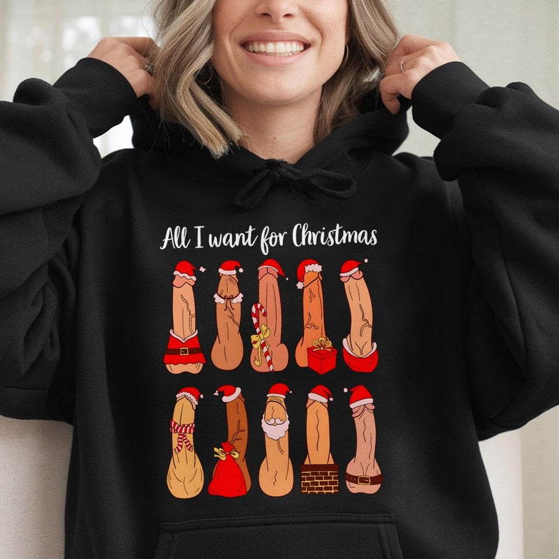 Humorous Adult Humor Xmas Sweatshirt, All I Want for Christmas Naughty Hoodie, Secret Santa Holiday Pullover, Hilarious Christmas Hooded Top
