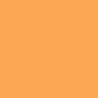 Bae Clogs - Orangesicle